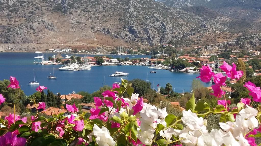 Deluxe Çift Kişilik Oda - Deniz Manzaralı