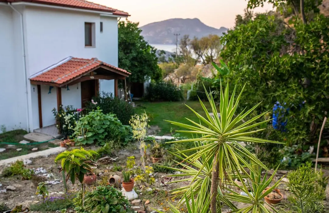 Villa Jasmin Selimiye - No Pool - Daily Weekly Rentals-1