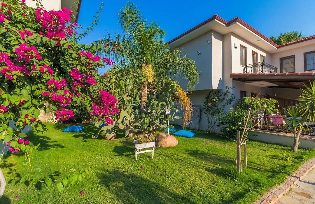 Mavi Deniz Konuk Evi-1