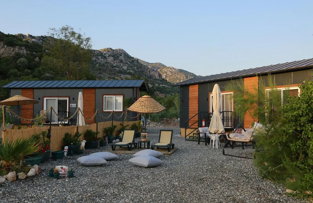 Tiny House Cactus Soeguet-1