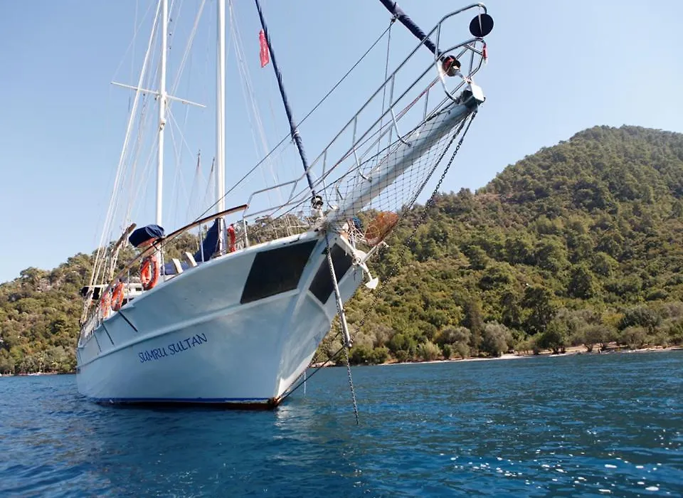 Sanda Yachting-1