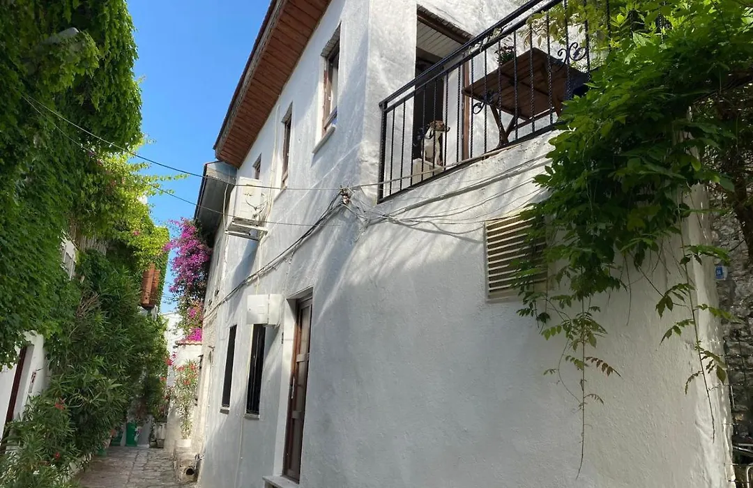 Old Town Castle House-Detached House-1