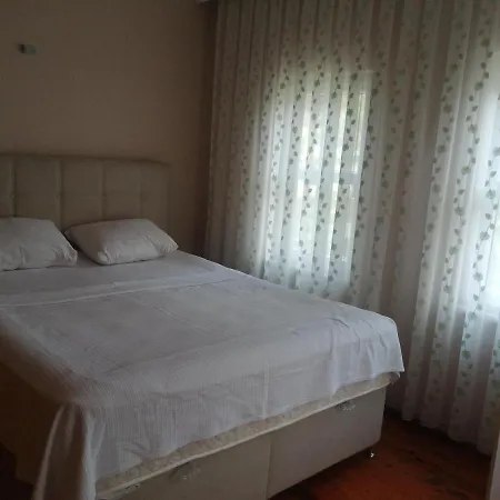 Rada Home-2