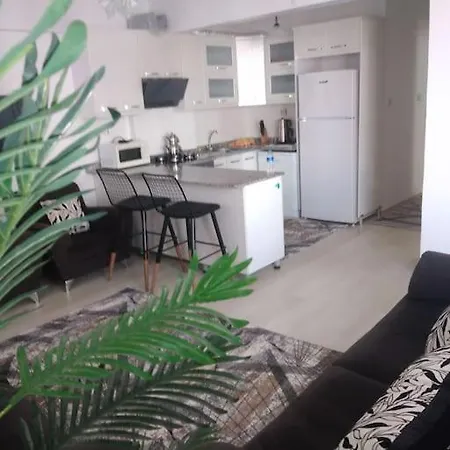 Irem Home-2