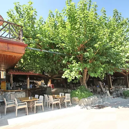 Hotel Golmar Beach-2